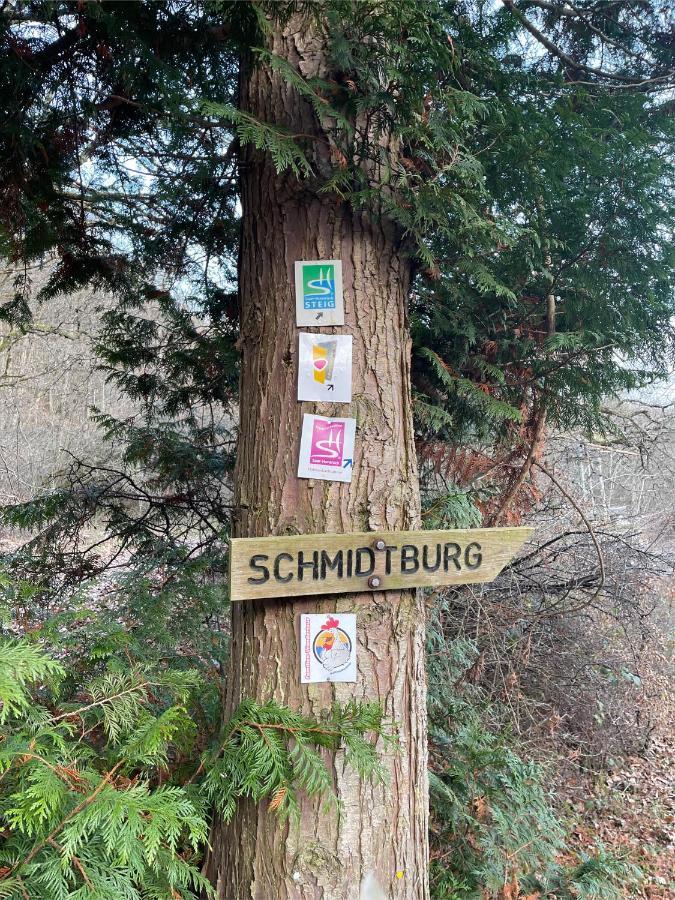 Am Apfelbaum, Ein Ferienhaus Zwischen Rhein Und Mosel Kastellaun Eksteriør bilde